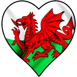 20 calcomanías de arte en uñas pegatinas de transferencia #898 - corazón de dragón galés, rugby 6 naciones