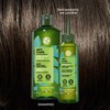 Yves Rocher ¡NUEVOS Shampoos Yves Rocher! Nueva formula y nueva