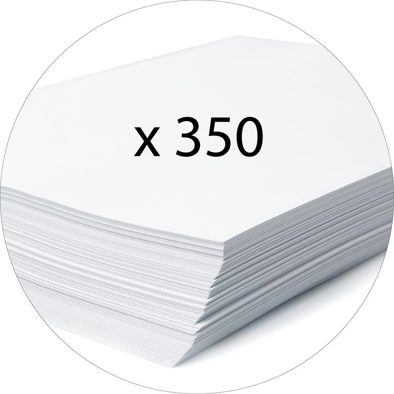 Exacompta 14017H Premium Collection Box with Elastic Band, 40 mm
