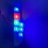 CGP CGP-5140-BL Shift Positive LED, Blue 200 Series, For HiAce,