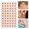 Beavorty Vaccaria Ear Seeds: 1800 Counts Disposable Ear Press Seeds