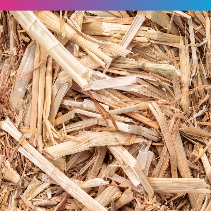 NT Labs Pond Barley Straw Bio Bags, Barley Straw Pouches,