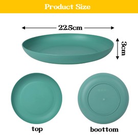 Mint's Colorful Life Wheat Straw Plates Set of 4 Unbreakable & Lightweight Plastic Plates for Everyday Meals, Camping, R.V. - 9 inch Dia, 1.2 inch Deep