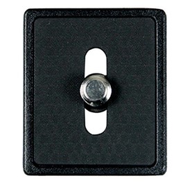 Vanguard QS-40 Schnellwechselplatte (3/8 Zoll) für SBH-250, SBH-100, SBH-50, SBH-30 schwarz