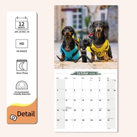 Wall Calendar 2026 Planner Calendar - Fashionable Fun Dachshund Hangable Monthly Wall Calendar with Large Blocks for Organizing & Planning, Academic Schedule, Home, Office & family, Thick & Sturdy Paper (12"x24" Open)