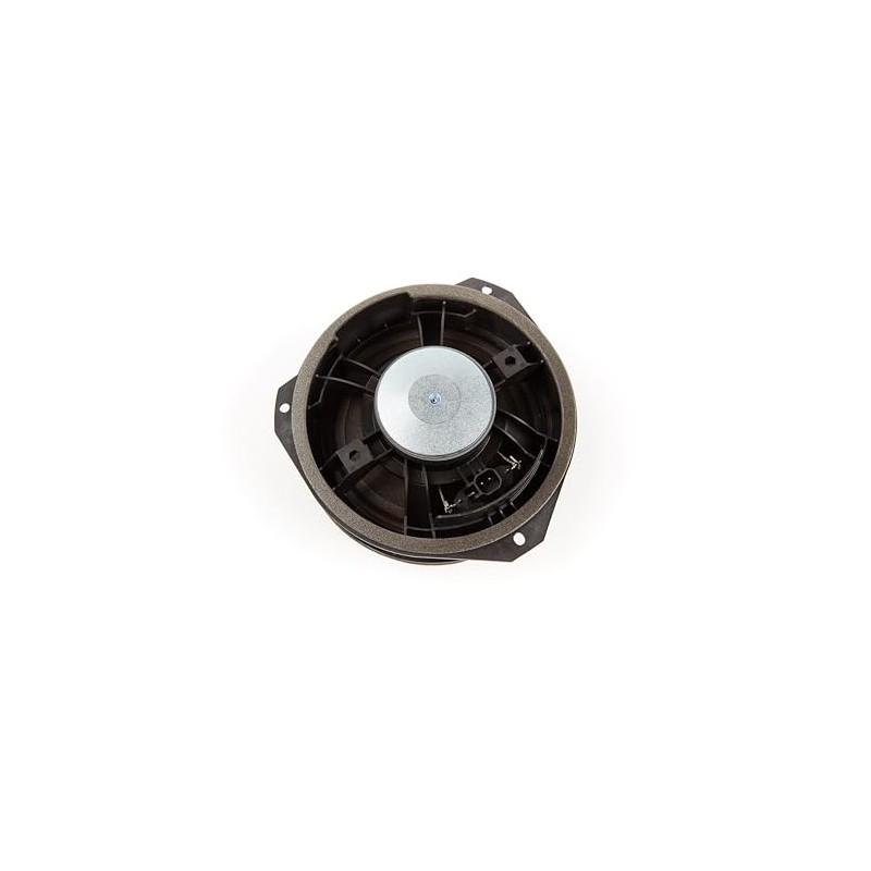 ACDelco GM Original Equipment 23267079 Rear Side Door Speaker