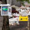 ATMOREA Electric Fence Charger 11kV Powerful Energizer ，2 Joules Energy