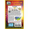 Everwilde Farms - 20 Blue Hubbard Winter Squash Seeds -