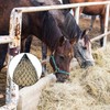 HERKINDNESS Hay Net for Horses, Hay Net, Tight Mesh, Hay