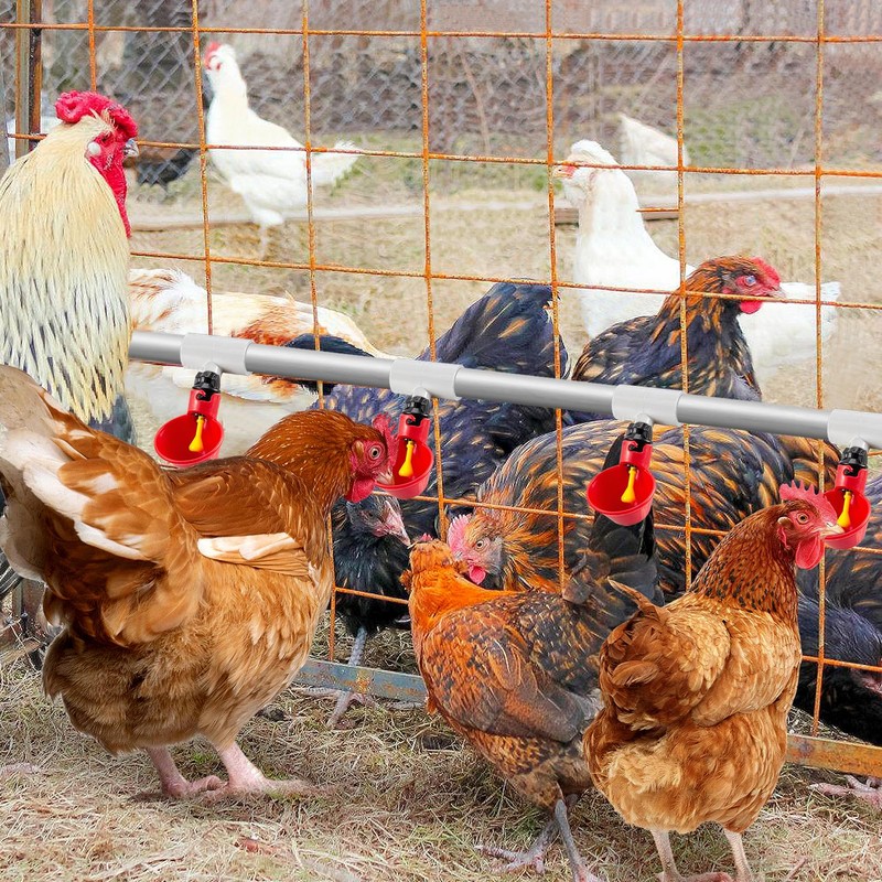 12 Pack Chicken Waterer PVC Tee Fittings - Fully Automatic
