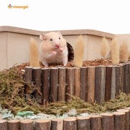 Niteangel Wooden Ladder Bridge, Hamster Mouse Rat Rodents Toy, Small Animal Chew Toy (11.8" x 5.9")