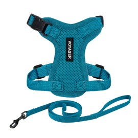Voyager Step-in Lock Adjustable Cat Harness w. Cat Leash Combo Set with Neoprene Handle 5ft - Supports Small, Medium and Large Breed Cats by Best Pet Supplies - Turquoise, XXXS