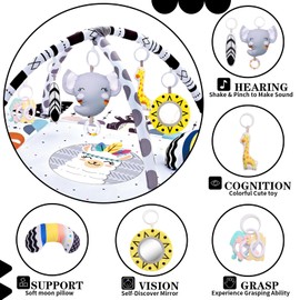 TFDER Baby Gym Play Mat, 8-in-1 Tummy Time Mat & Activity Gym, Washable Ball Pit, Infant Play Mat with Detachable Toys for Sensory Exploration and Motor Skill Development