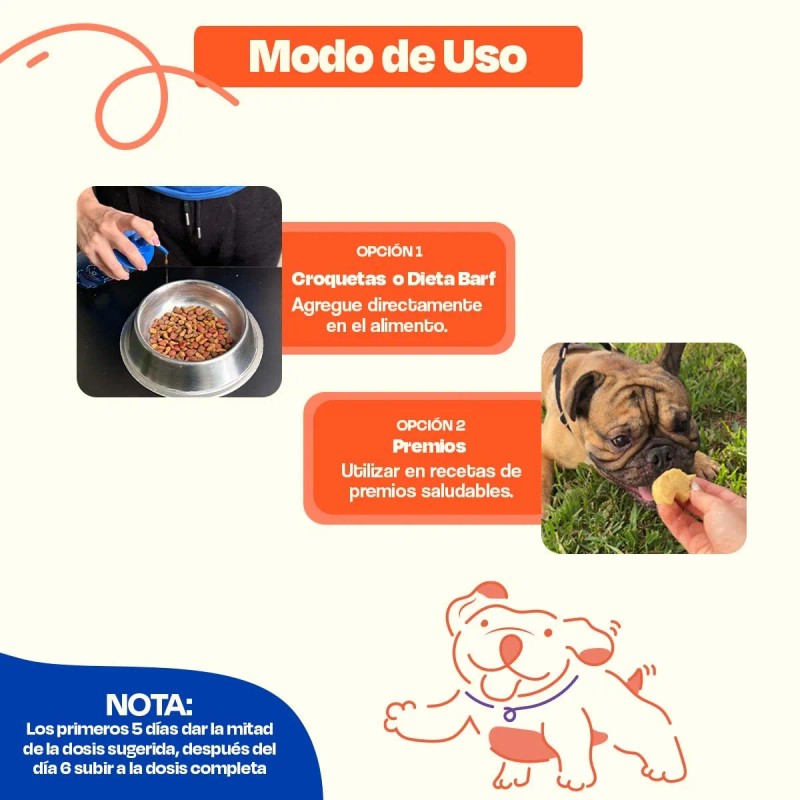 Dogelthy Pack De 3 Aceites De Salmón Para Perro Omega3