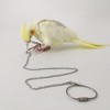 Bird Foot Chain Flying Stainless Steel Training Rope Outdoor Parrot