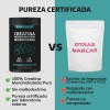 Creatina Monohidratada Micronizada Polvo Pre Workout 100 Alta Pureza Certificada