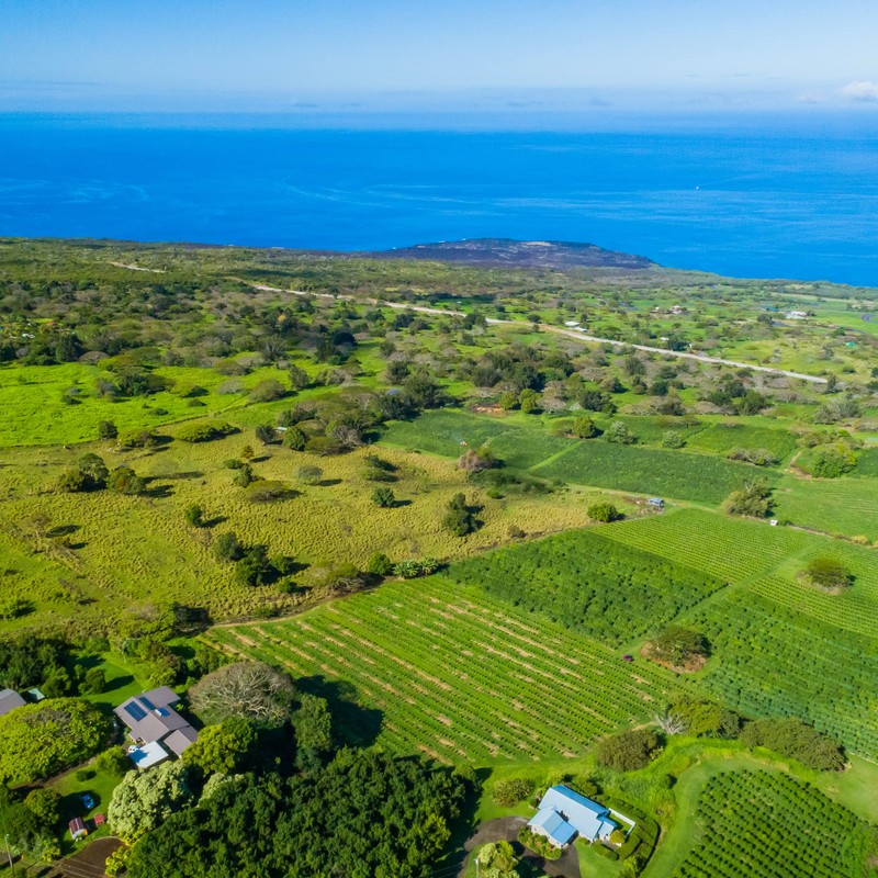 Greenwell Farms 100% Hawaiian Kona Coffee - Medium Roast, Ground,