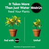 Miracle-Gro Shake 'N Feed Continuous Release Citrus, Avocado & Mango