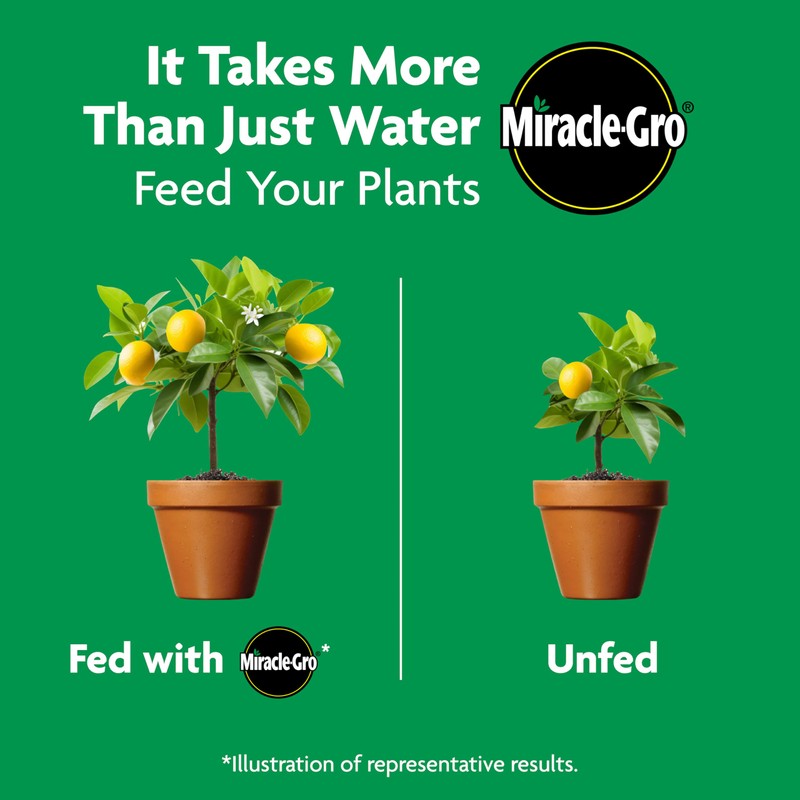 Miracle-Gro Shake 'N Feed Continuous Release Citrus, Avocado & Mango