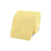 THE GENTS LAB 100% Polyester Square End Knitted Neck Tie