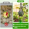 10 Pcs Melon Hammock Watermelon Nets, Melon Cradle for Garden