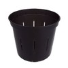 5" Slotted Clear Orchid Pots by rePotme - 6 Pack
