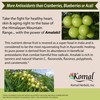 AyurBest Organic Praas / Chyawanprash - 100% USDA Certified Organic,