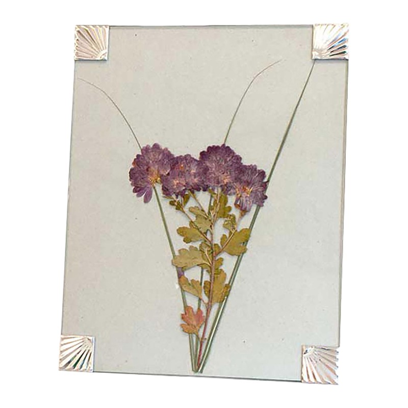 BestNest Nature Presses, 12" x 18", Set of 2