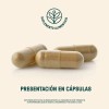 Rhodiola Rosea Life 360+ 180 Cápsulas Con Raiz Rhodiola