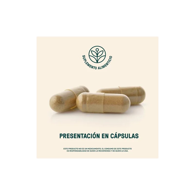 Rhodiola Rosea Life 360+ 180 Cápsulas Con Raiz Rhodiola