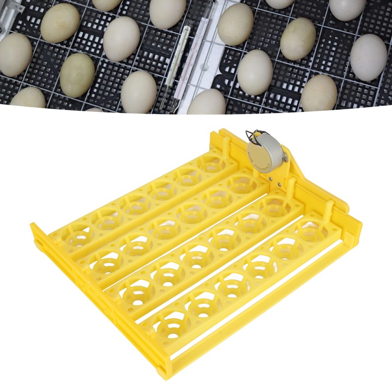 Egg Turning Tray Professional 24 Eggs Capacity Efficient Quiet Egg