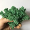 prefleur prefleur Preserved Reindeer Craft Moss Natural Green DIY Kit