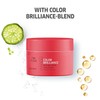 INVIGO Wera Professional Invigo Color Brilliance Vibrant Color Treatment, 5.1