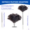 Madrigal 72" Extendable Feather Duster with 2 Replacement Heads, Eco-Friendly