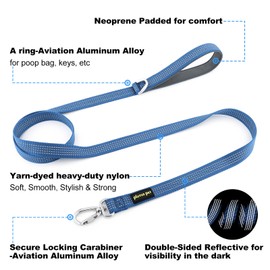 Plutus Pet Heavy Duty Dog Lead with Lockable Aluminum Carabiner, 4/6 Feet Long, Double-Sided Reflective Nylon, Padded Handle, for Puppy, Small, Medium and Large Dogs (Blue, 2.0 x 180cm)