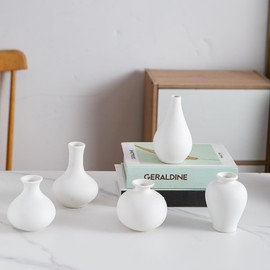 Tenforie White Ceramic Bud Vase Set of 5, Mini Vases for Flowers, Decorative Small Vases for Home Decor, Boho Wedding Centerpieces, Living Room, Dining Table & Shelf Decor