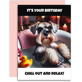 Miniature Schnauzer Birthday Card - Chill out and Relax - A5 Size with Pink Envelope. Funny Card for her, mum, nan, auntie, sister, daughter. Designed and Printed in the UK