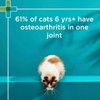 PAW By Blackmores OsteoSupport Joint Care (Powder For Cats) 60c
