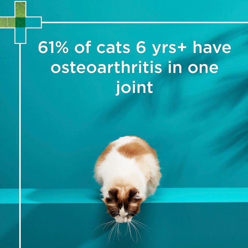 PAW By Blackmores OsteoSupport Joint Care (Powder For Cats) 60c