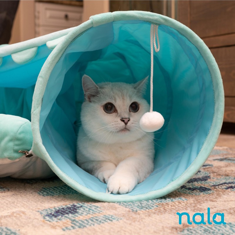 Caitec Presents Nala Cat Tunnel Bed - Collapsible Cat Cave