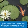 API POND 5 IN 1 POND TEST STRIPS Pond Water