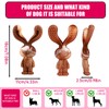 QhgPnt Dogs Toys, Dog Toys Indestructible, Long Lasting Beef Flavour
