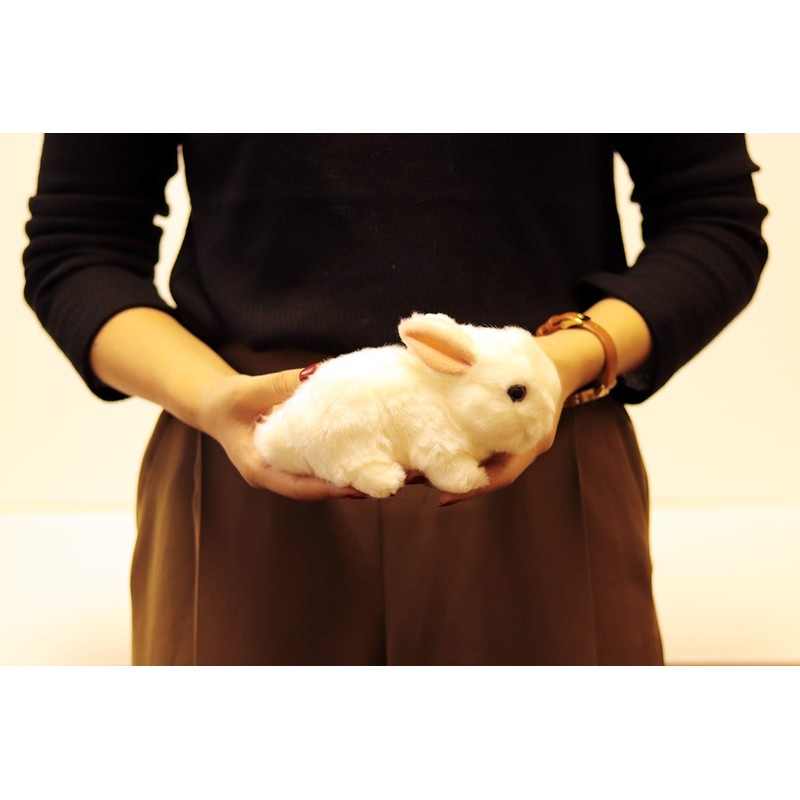 Rabbit / Rabbit Plush Animal Toy Store [white]