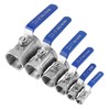 Stainless Steel SS304 Reduced Port Pipe Ball Valve Female Threaded