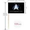 100 Pcs USA Space Force Toothpicks Flag Small Mini Cocktail