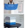 CBJAPAN Carari Plus Hair Drying Towel, 3.3x Water Absorbency Microfiber,
