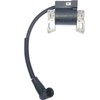 IGCLINIC 595291 796500 595554 796499 594423 Magneto-Armature for Briggs and