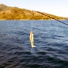 BESPORTBLE 2pcs Realistic Simulation Bait Propeller Lure Bait Hard for