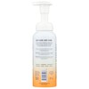 Hand In Hand Citrus Grove Foaming Hand Soap, 8.5 Fz
