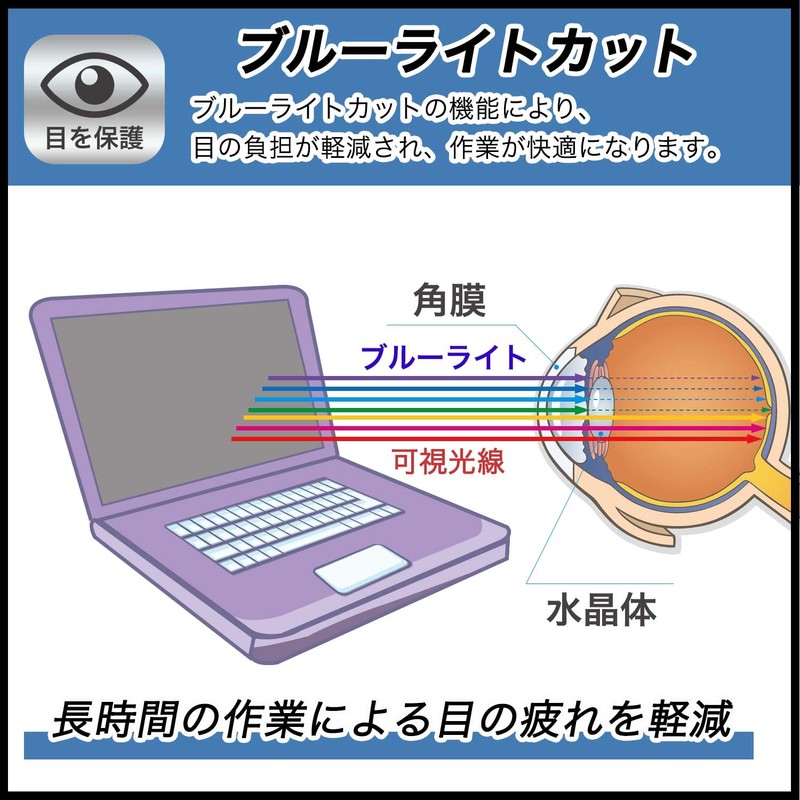 FILMEXT NEC LAVIE N16 Spring 2025 Model Protective Film Blue